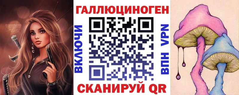 Псилоцибиновые грибы Psilocybine cubensis  Уссурийск 