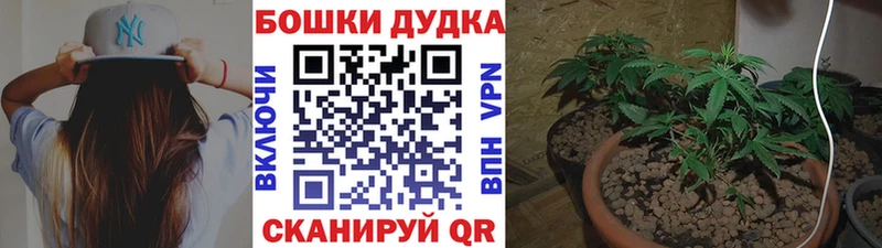 Конопля план  продажа наркотиков  Уссурийск 